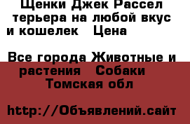 Щенки Джек Рассел терьера на любой вкус и кошелек › Цена ­ 13 000 - Все города Животные и растения » Собаки   . Томская обл.